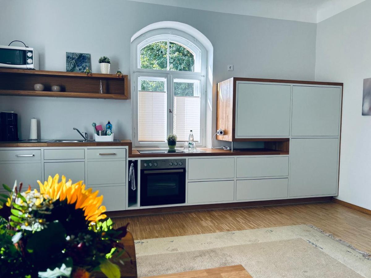 Schlosspark Apartment I 80Qm I 3 Betten I Bei Dresden Heidenau  Zewnętrze zdjęcie