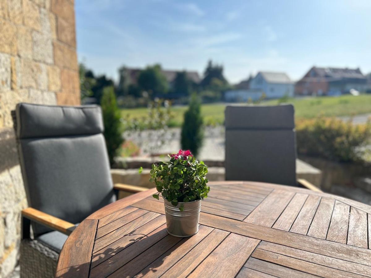 Schlosspark Apartment I 80Qm I 3 Betten I Bei Dresden Heidenau  Zewnętrze zdjęcie